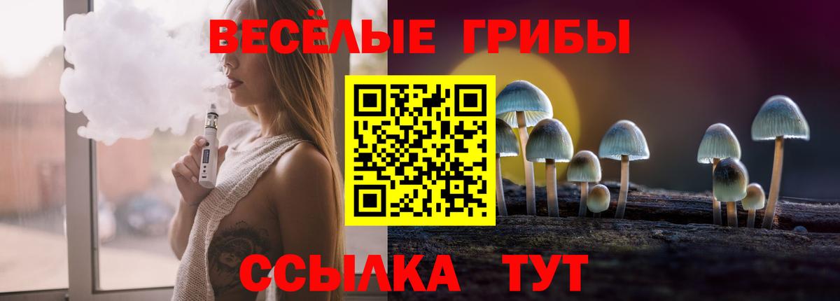 Псилоцибиновые грибы мицелий Электросталь